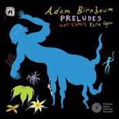 Adam Birnbaum: Preludes