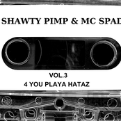 Vol. 3: 4 You Playa Hataz