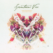 Korkea kofeiinipitoisuus