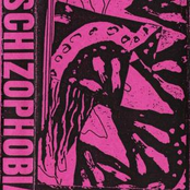 Schizophobia