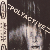 Polyactive (Demo)