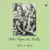 Pelo Toque Da Viola
