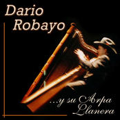 Dario Robayo