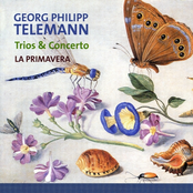 Georg Philipp Telemann, Trios & Concert