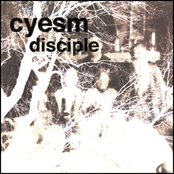 disciple