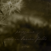 Peregrine/SiBF split 7"