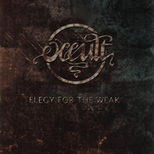 Elegy Of The Weak