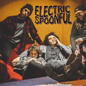 electric spoonful