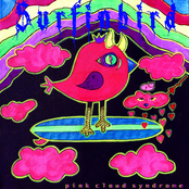 Pink Cloud Syndrome EP