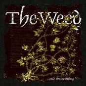 ...And The Evening Dies