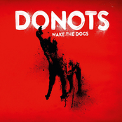 Solid Gold by Donots