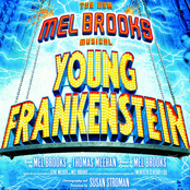 Megan Mullally: The New Mel Brooks Musical - Young Frankenstein