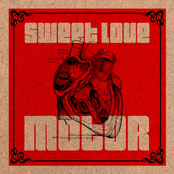 Circuit Breaker by Sweet Love