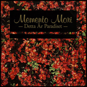 Kalahari by Memento Mori