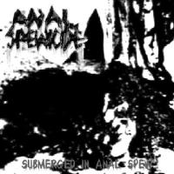 Submerged In Anal Spew
