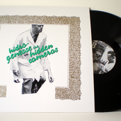 Hidrogenesse versus The Hidden Cameras