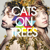 Full Colours by Cats On Trees