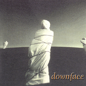 Purge by Downface