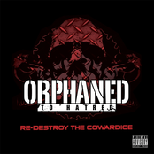 Re-Destroy the Cowardice