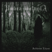 Solitarian Echoes