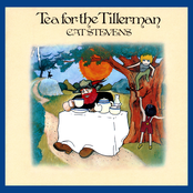 Tea For The Tillerman by Cat Stevens