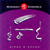 Birds & Drums