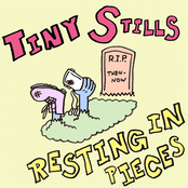 Tiny Stills: Resting in Pieces