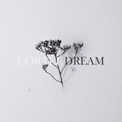 Dream - Single