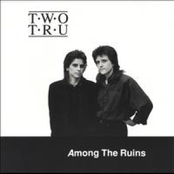 Among The Ruins
