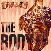 Brotality: The Body