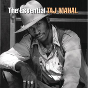 West Indian Revelation by Taj Mahal