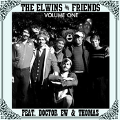 Nothing Could Compare by The Elwins