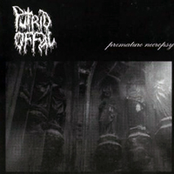 Exulceration / Putrid Offal