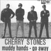 cherry stones