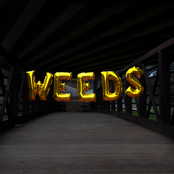 The Definition of Weeds