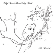 Clap Your Hands Say Yeah: The Tourist