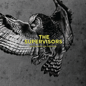 Supervising The Industry