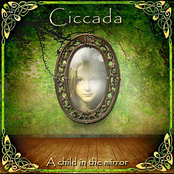 An Endless Sea by Ciccada