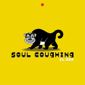 Maybe I'll Come Down by Soul Coughing