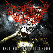 From You Leaving Only Ashes