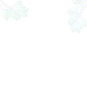 When I Die Can't Take It to the Grave