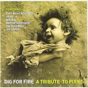 Dig for Fire A Tribute to the Pixies