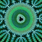 Psychedelic Meditation