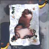 Made Of Plastic / Missy Misschief