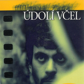 Údolí včel