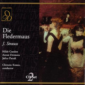 Die Fledermaus