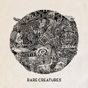 Rare Creatures: Rare Creatures [Explicit]