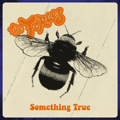 Something True (Whirligig)