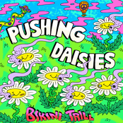 Pushing Daisies
