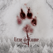 Histórias de Lobos - Entre o Lume e a Escuridão